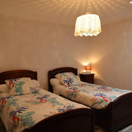 Les Poneys Fringants