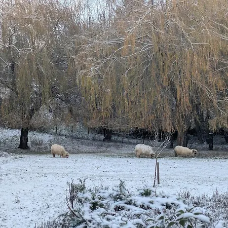 Les Poneys Fringants *